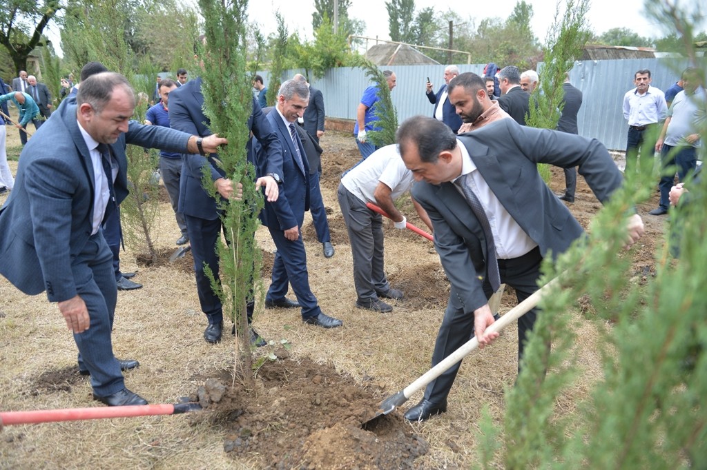 Lənkəranda “Anım Günü” ilə əlaqədar ağacəkmə aksiyası keçirilib - FOTOLAR