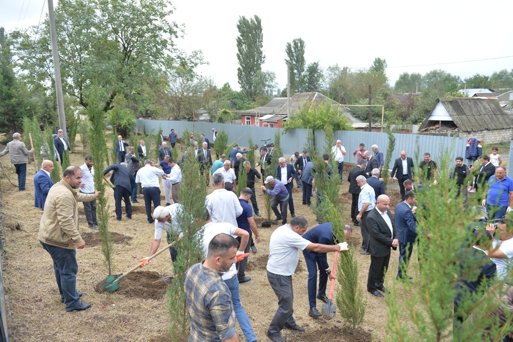 Lənkəranda “Anım Günü” ilə əlaqədar ağacəkmə aksiyası keçirilib - FOTOLAR