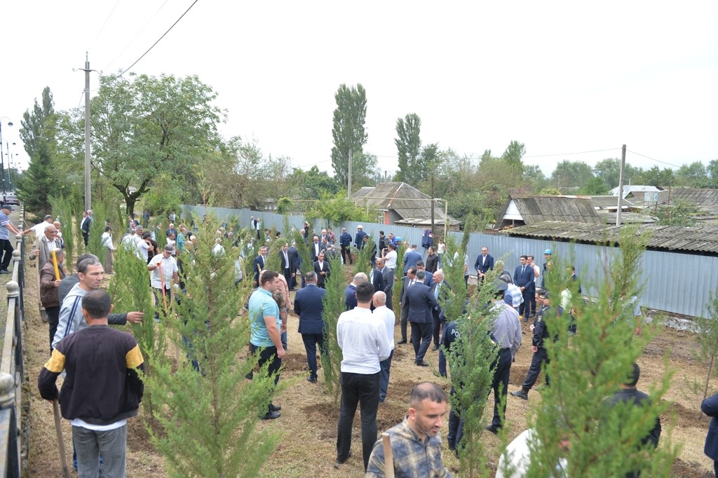 Lənkəranda “Anım Günü” ilə əlaqədar ağacəkmə aksiyası keçirilib - FOTOLAR