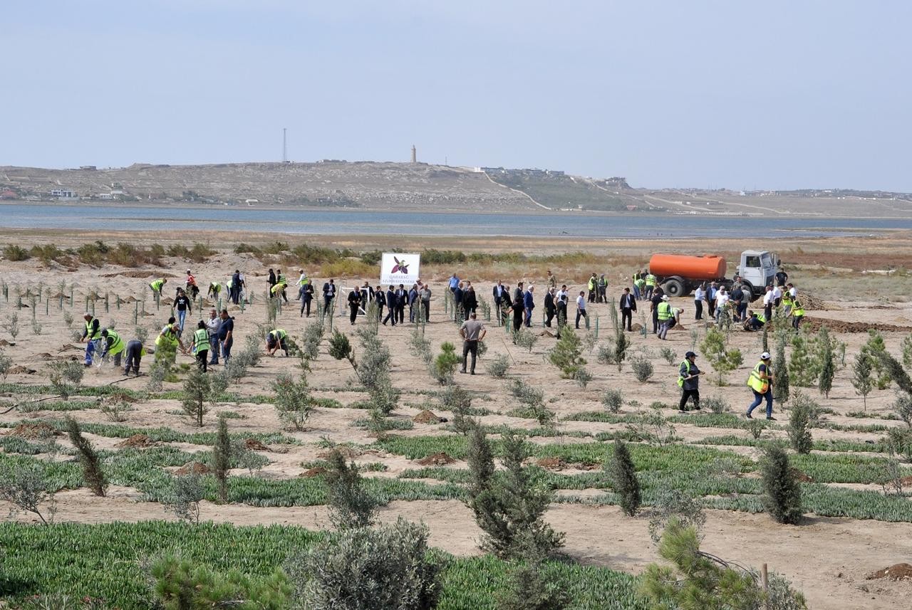 Pirallahıda şəhidlərə həsr olunmuş tədbir keçirildi - FOTOLAR