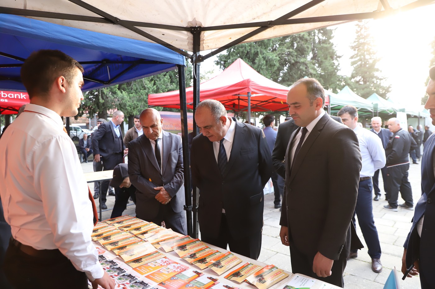 Balakən və Qaxda toxum sərgi-satış yarmarkaları keçirilib - FOTOLAR