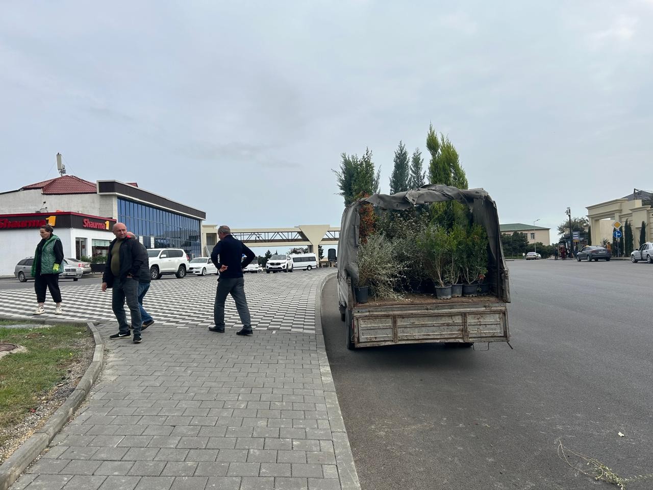 Xətai rayonunda ağacəkmə aksiyasına start verilib - FOTOLAR