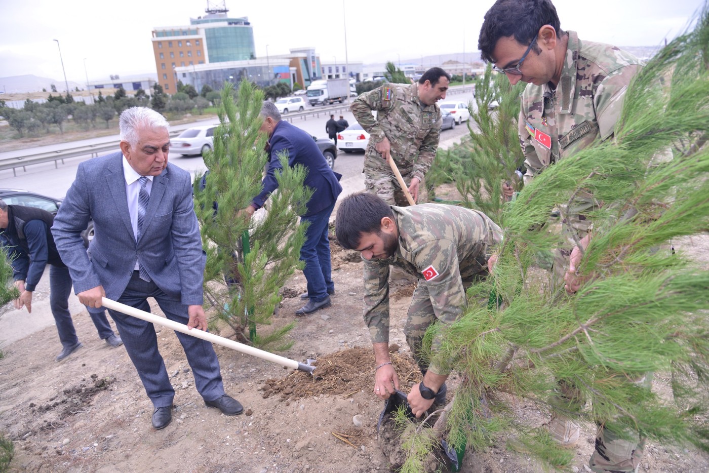 Qaradağın icra başçısı ağacəkmə aksiyasında iştirak etdi - FOTOLAR