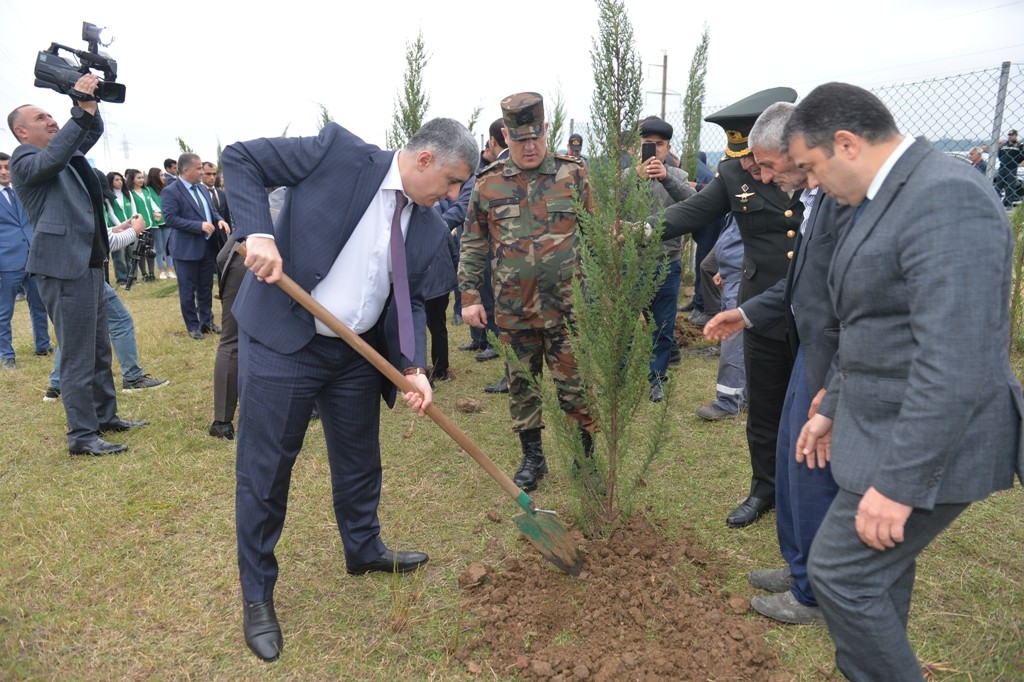 Lənkəranda "Yaşıl dünya naminə həmrəylik ili" çərçivəsində 2000 ağac əkilib - FOTOLAR