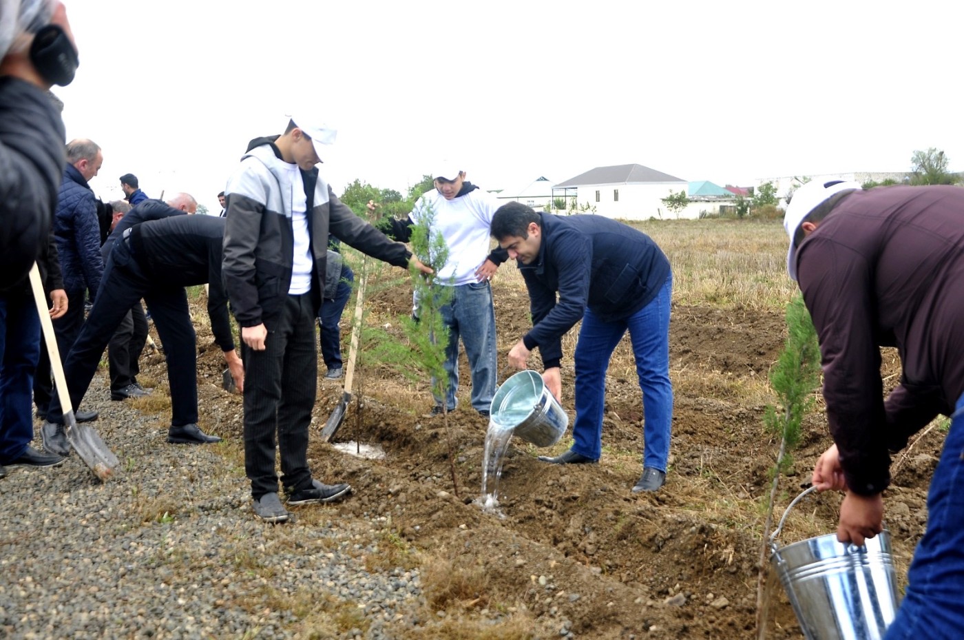 İcra başçısı Seymur Orucov ağacəkmə aksiyasında iştirak etdi - FOTOLAR