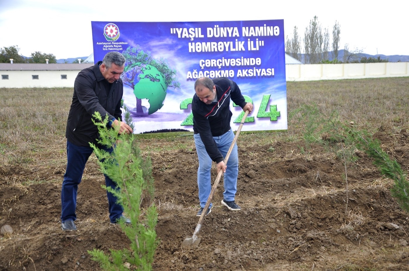 İcra başçısı Seymur Orucov ağacəkmə aksiyasında iştirak etdi - FOTOLAR