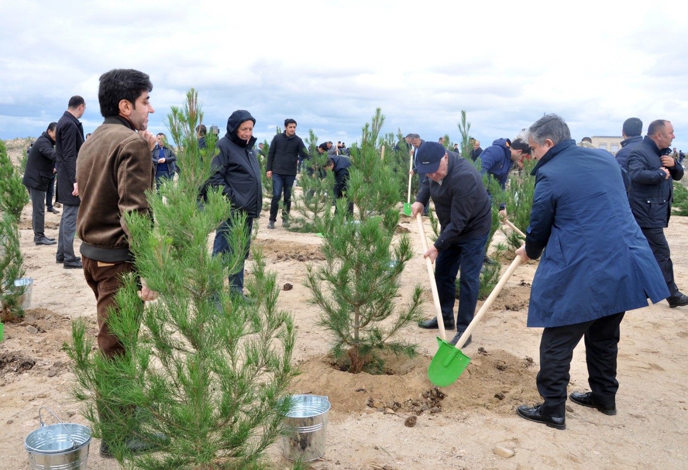 Pirallahıda “Yaşıl bir dünya üçün həmrəy olaq!” şüarı altında silsilə tədbirlər davam edir - FOTOLAR