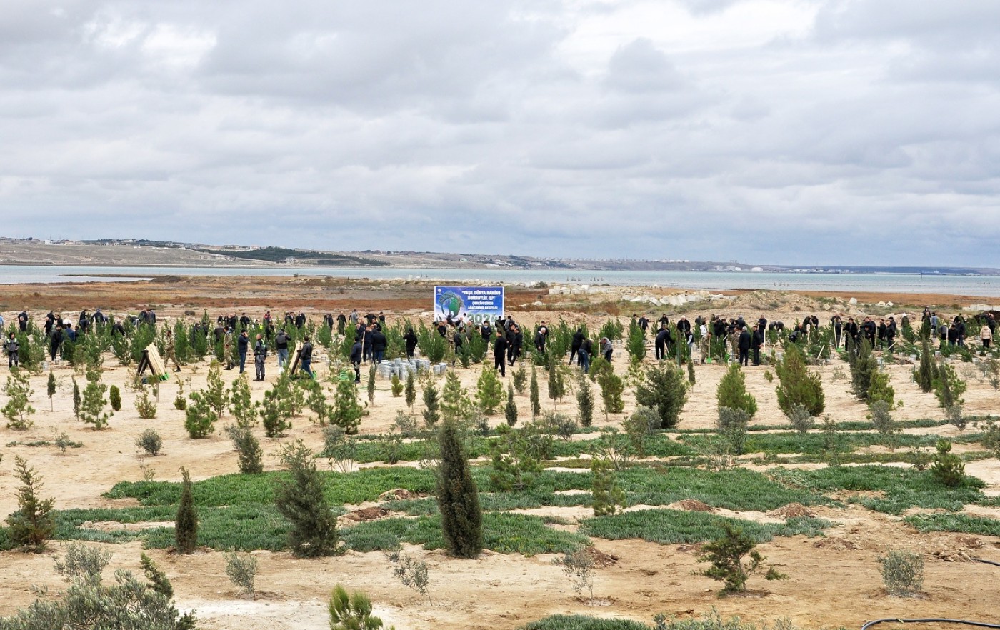 Pirallahıda “Yaşıl bir dünya üçün həmrəy olaq!” şüarı altında silsilə tədbirlər davam edir - FOTOLAR