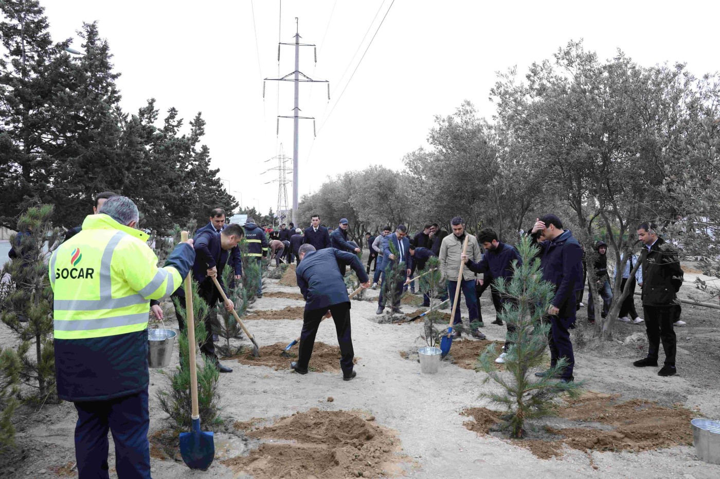 Nizamidə "Yaşıl dünya naminə həmrəylik ili" çərçivəsində ağacəkmə aksiyası keçirilib - FOTOLAR