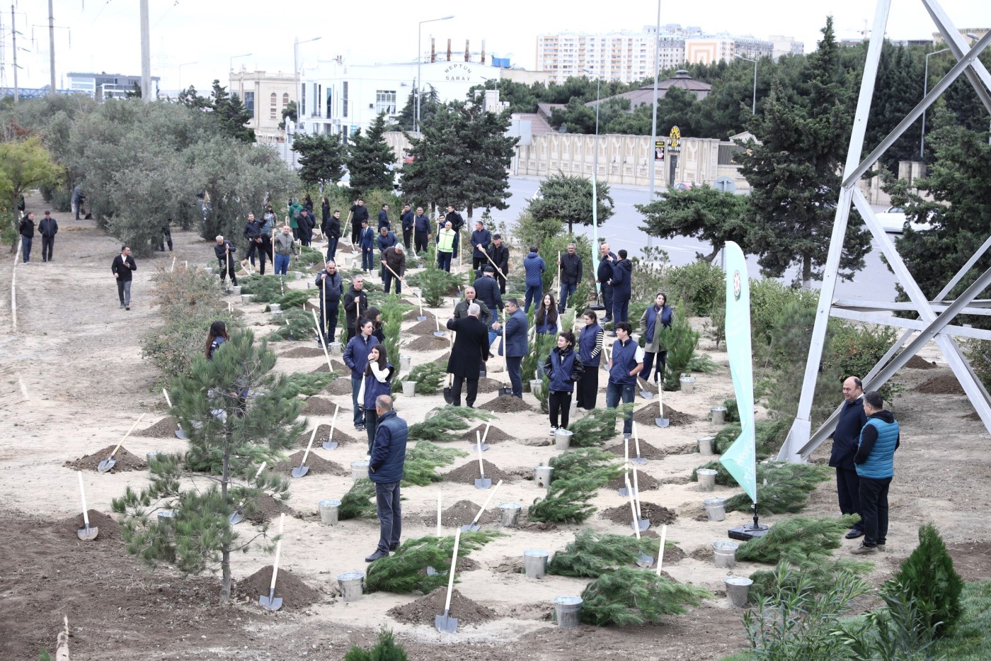 Nizamidə "Yaşıl dünya naminə həmrəylik ili" çərçivəsində ağacəkmə aksiyası keçirilib - FOTOLAR