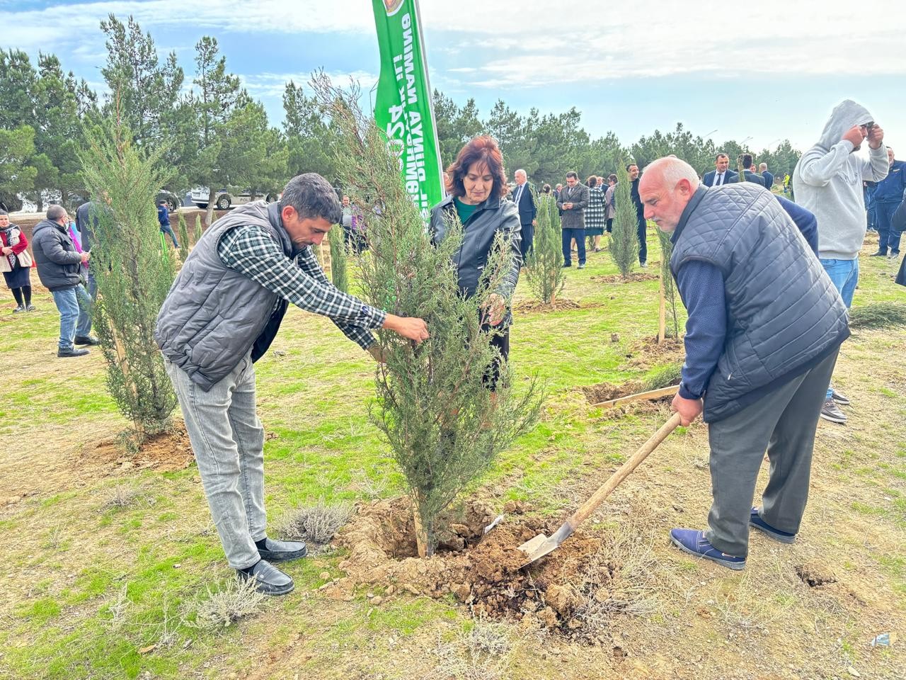 Xəzər rayonunda növbəti ağacəkmə aksiyası keçirilib - FOTOLAR