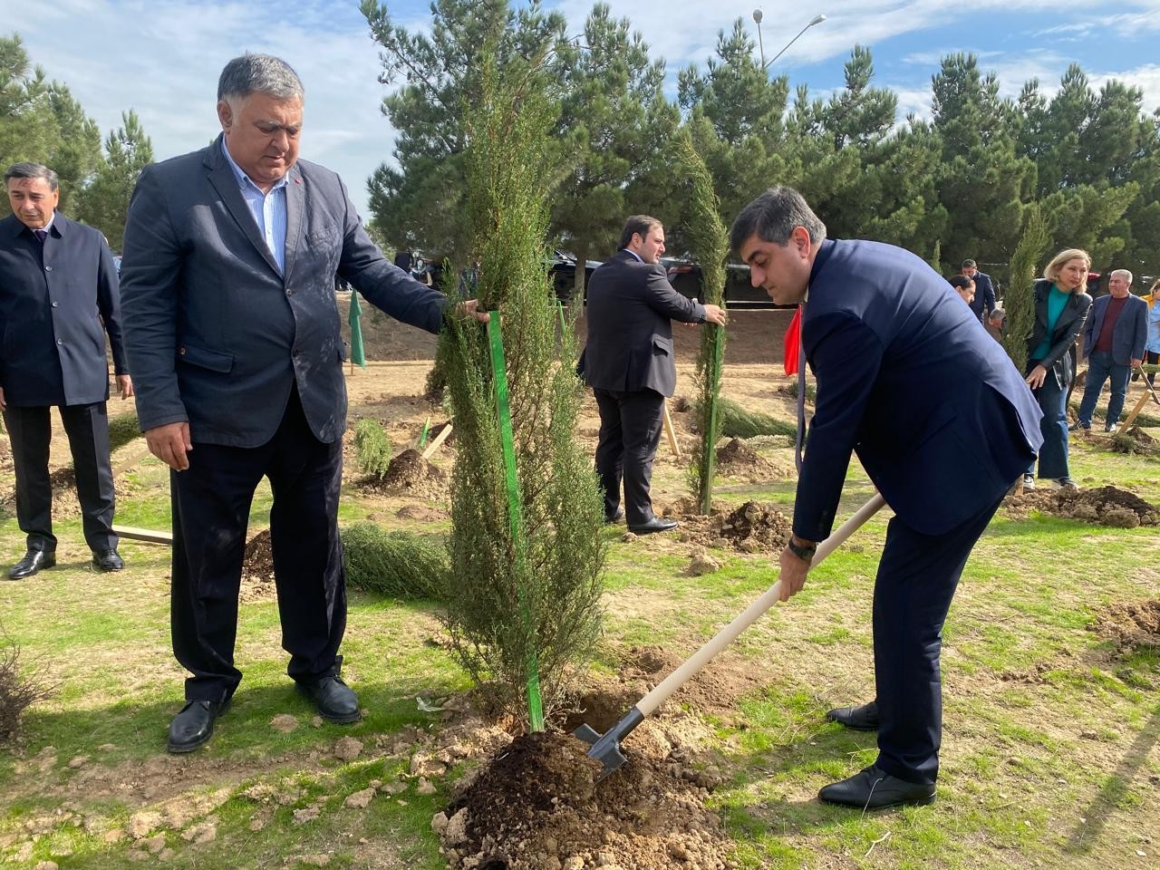 Xəzər rayonunda növbəti ağacəkmə aksiyası keçirilib - FOTOLAR