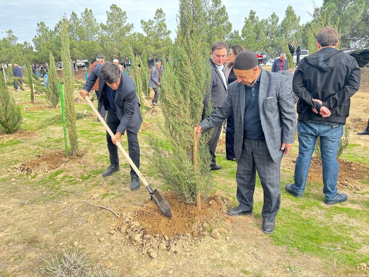 Xəzər rayonunda növbəti ağacəkmə aksiyası keçirilib - FOTOLAR