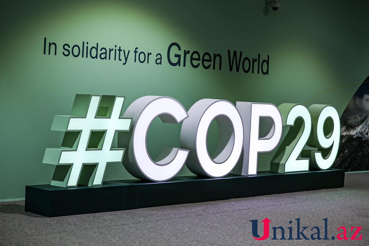 COP29-dan FOTOLAR