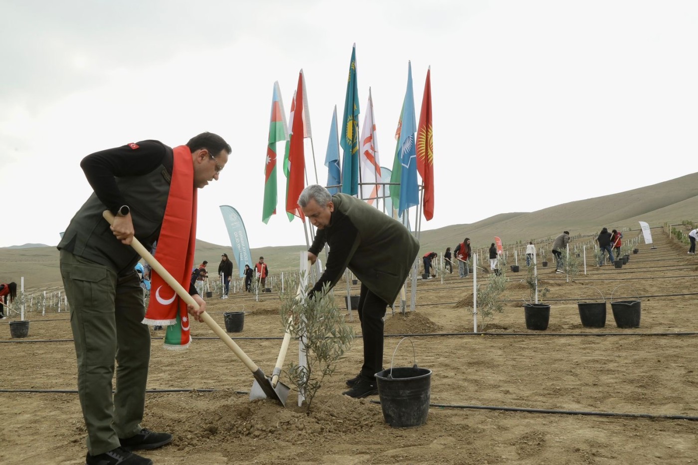 "Türk dövlətləri milli ağaclandırma günü“ münasibətilə 111 min 111 ağac əkildi - FOTOLAR