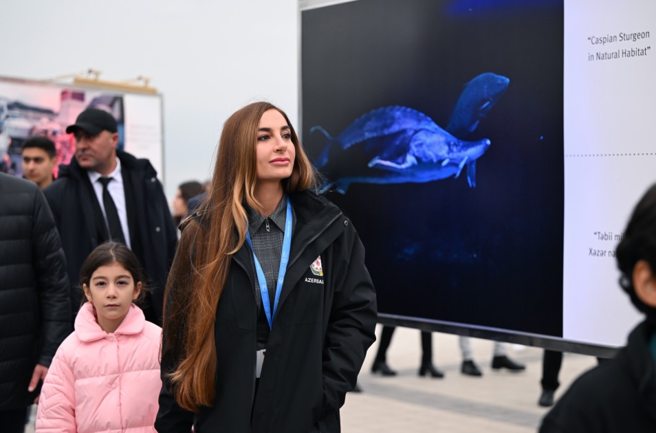 Leyla Əliyeva Dəniz Növlərinin Beynəlxalq Müdafiəsi layihəsinin təqdimatında - FOTOLAR