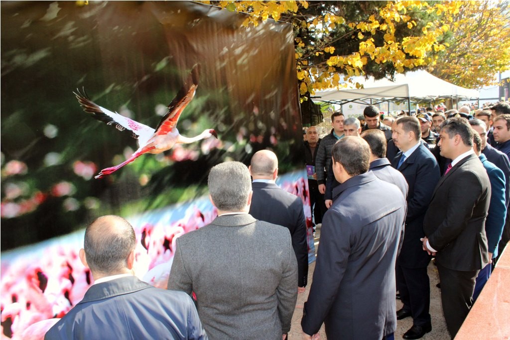 Lənkəranda “Yaşıl Dünya Naminə Eko Festival” keçirilib - FOTOLAR