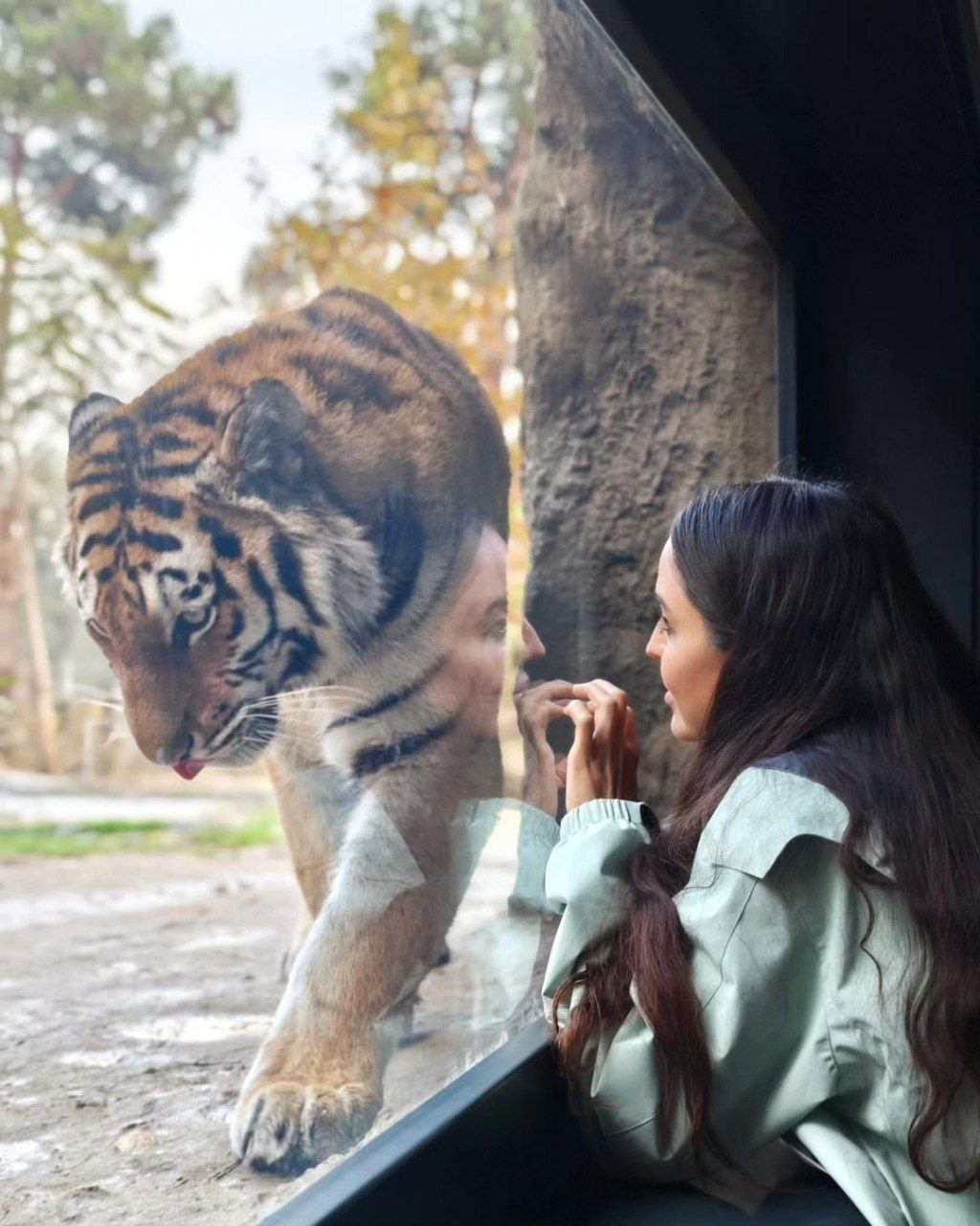 Leyla Əliyeva Bakı Zooloji Parkında - FOTOLAR