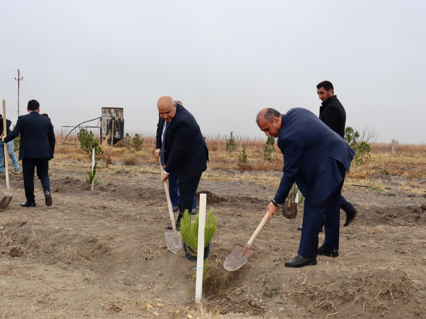 Samuxda "Yaşıl dünya naminə həmrəylik ili" çərçivəsində təmizlik aksiyası - FOTOLAR