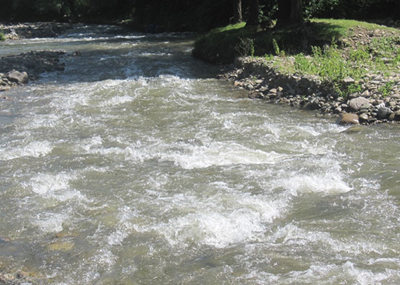 Yağıntılı hava şəraiti davam edir- Çaylarda sululuq artıb (YENİLƏNİB)