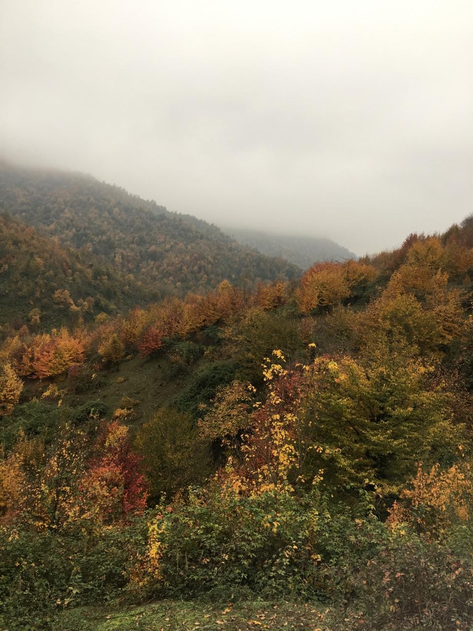 Milli parklarda payız mənzərəsi - FOTOLAR