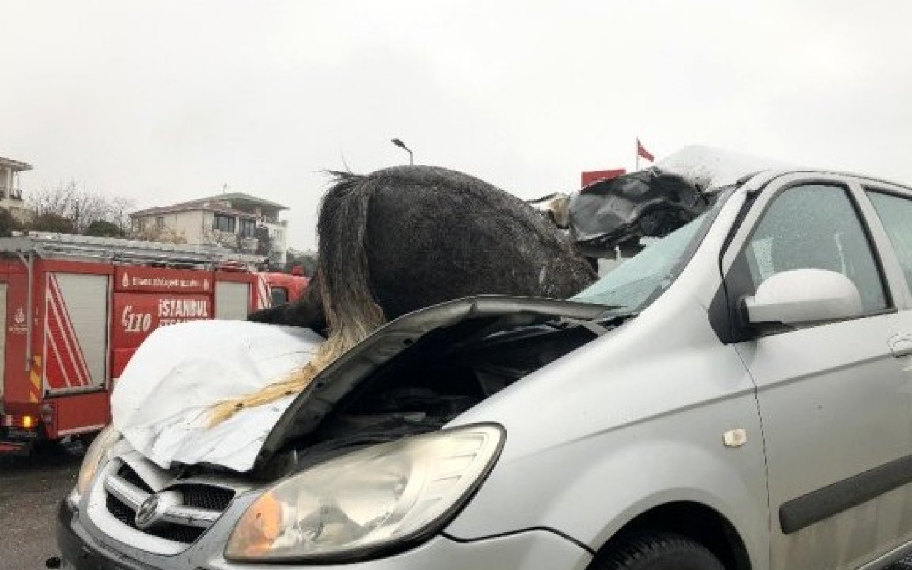 Goranboyda maşın atla toqquşduqdan sonrasu kanalına düşdü