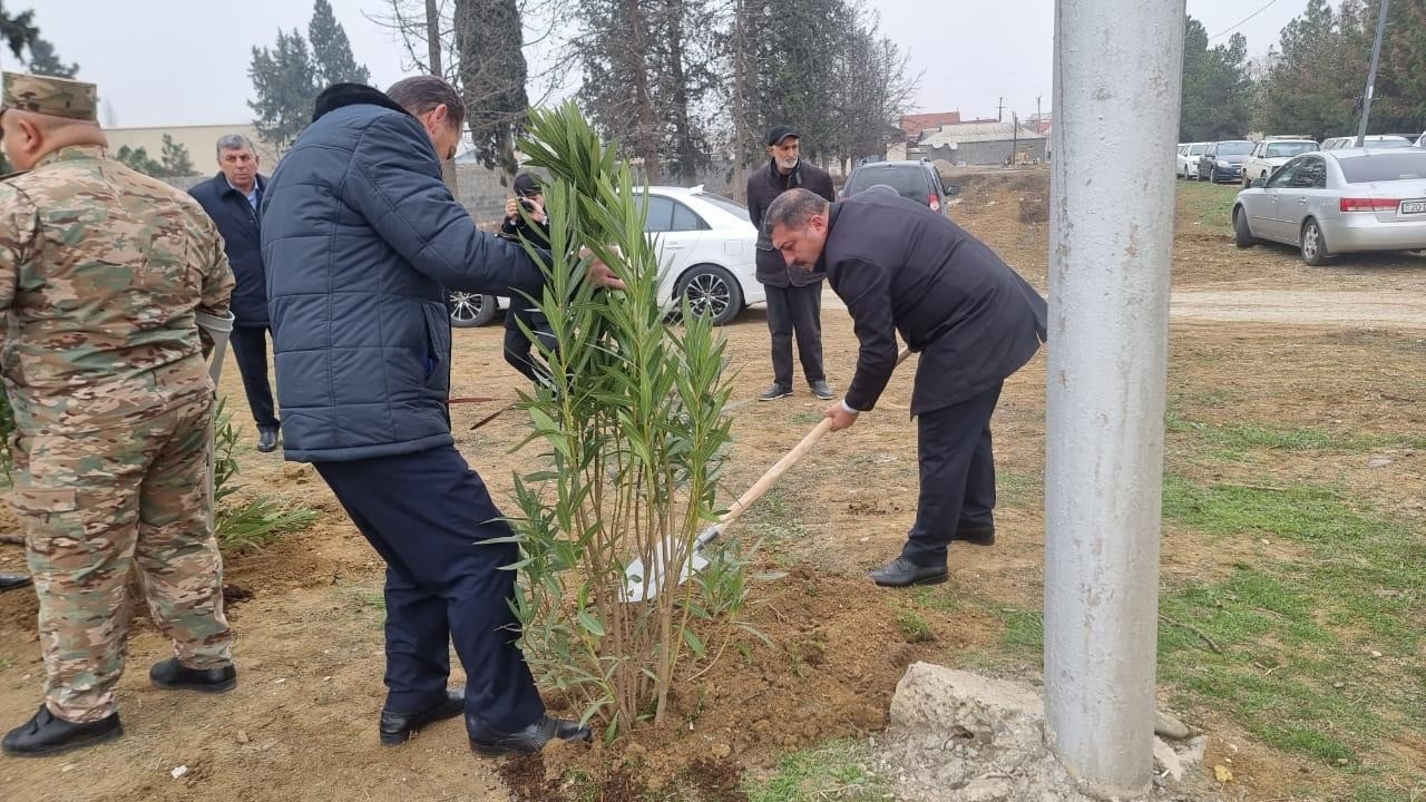 Goranboyda Heydər Əliyevin anım günü ilə bağlı ağacəkmə aksiyası keçirildi - FOTOLAR