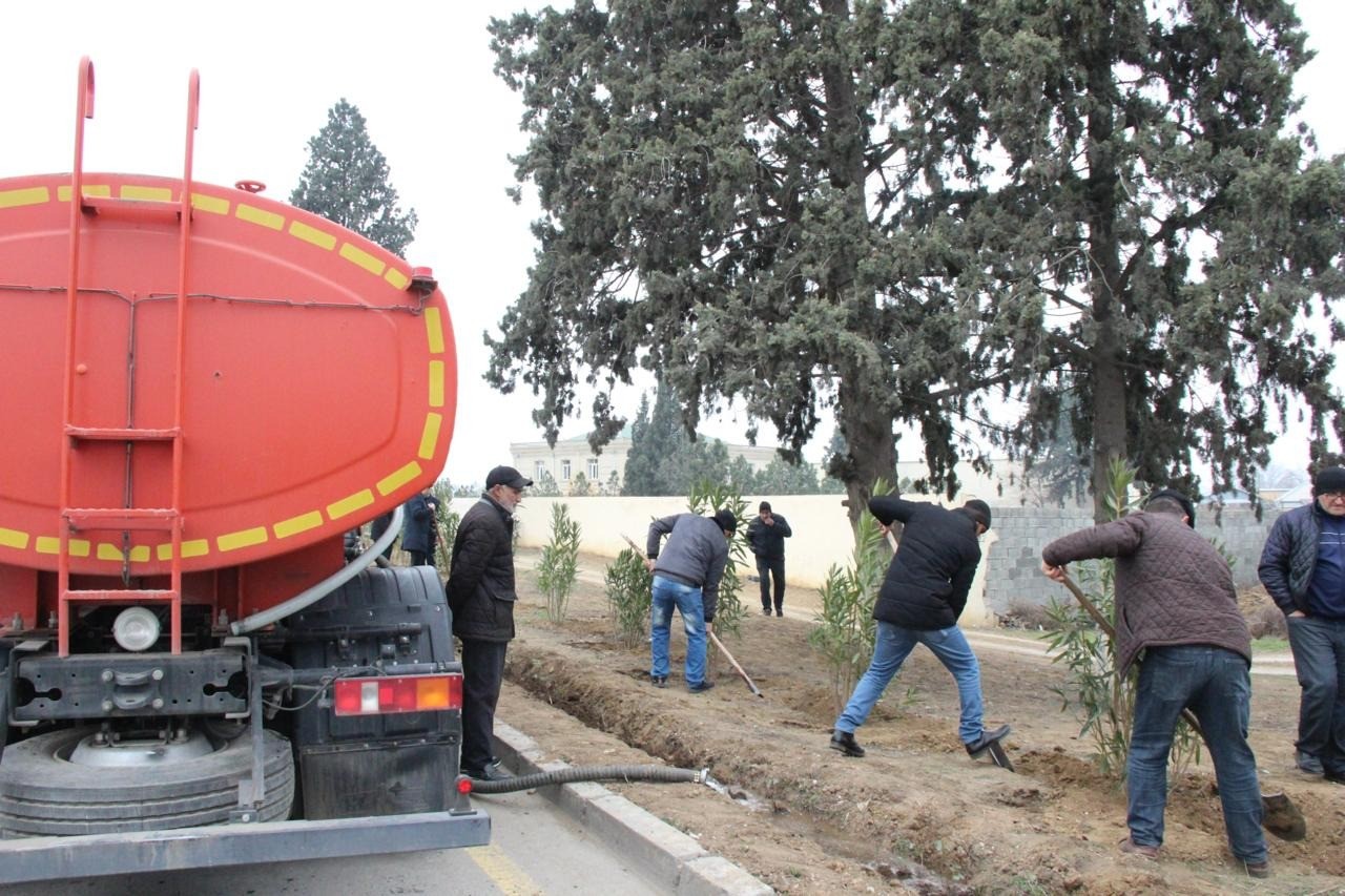 Goranboyda Heydər Əliyevin anım günü ilə bağlı ağacəkmə aksiyası keçirildi - FOTOLAR