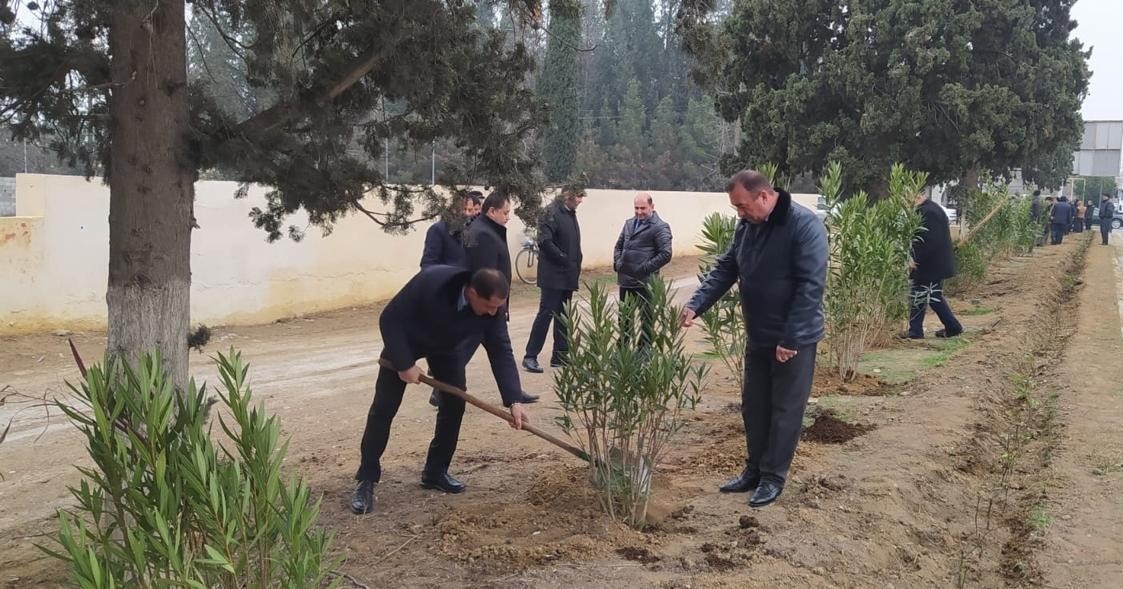 Goranboyda Heydər Əliyevin anım günü ilə bağlı ağacəkmə aksiyası keçirildi - FOTOLAR