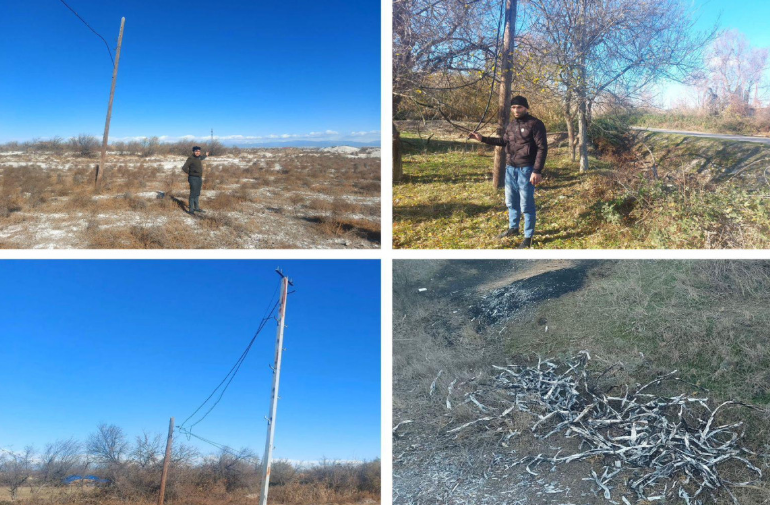 Kabel oğurlayan qohumlar saxlanıldı - FOTO