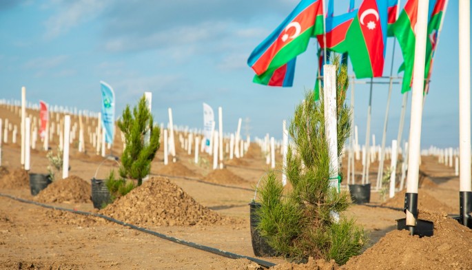 “Yaşıl dünya naminə həmrəylik ili” çərçivəsində növbəti ağacəkmə aksiyası keçirildi - FOTOLAR