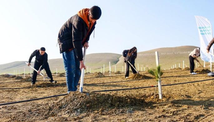 Dünya Torpaq Günü münasibətilə ağacəkmə aksiyası təşkil olundu - FOTOLAR