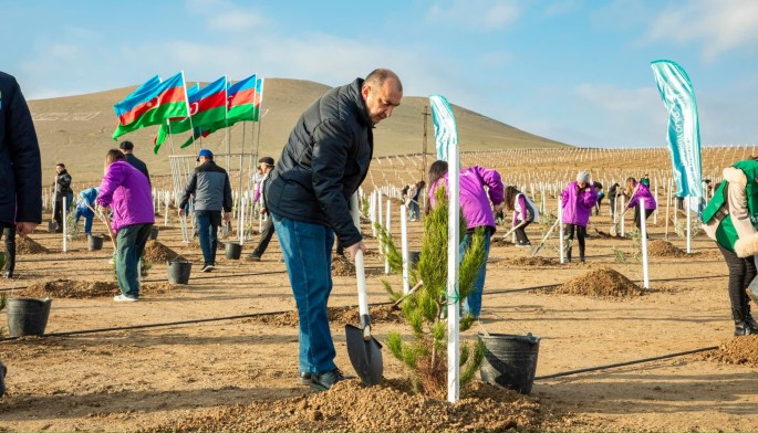 “Yaşıl dünya naminə həmrəylik ili” çərçivəsində “Yaşıl fidanlar” ağacəkmə aksiyası keçirildi - FOTOLAR