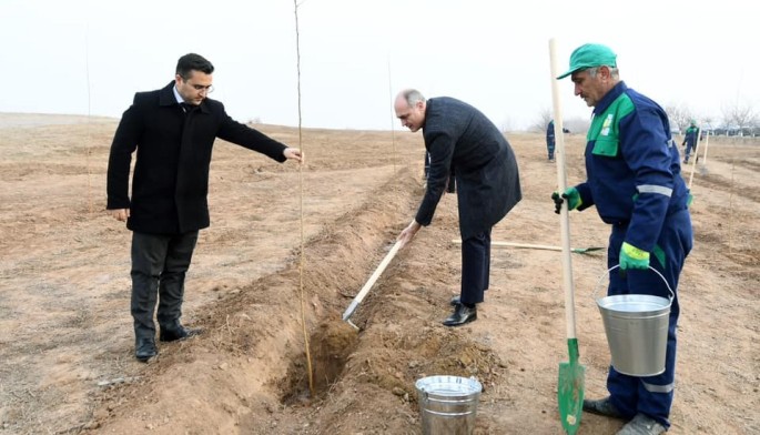 Naxçıvanda Heydər Əliyevin xatirəsinə ağacəkmə aksiyası keçirildi - FOTOLAR