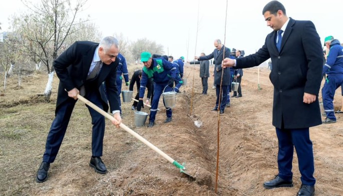 Naxçıvanda Heydər Əliyevin xatirəsinə ağacəkmə aksiyası keçirildi - FOTOLAR