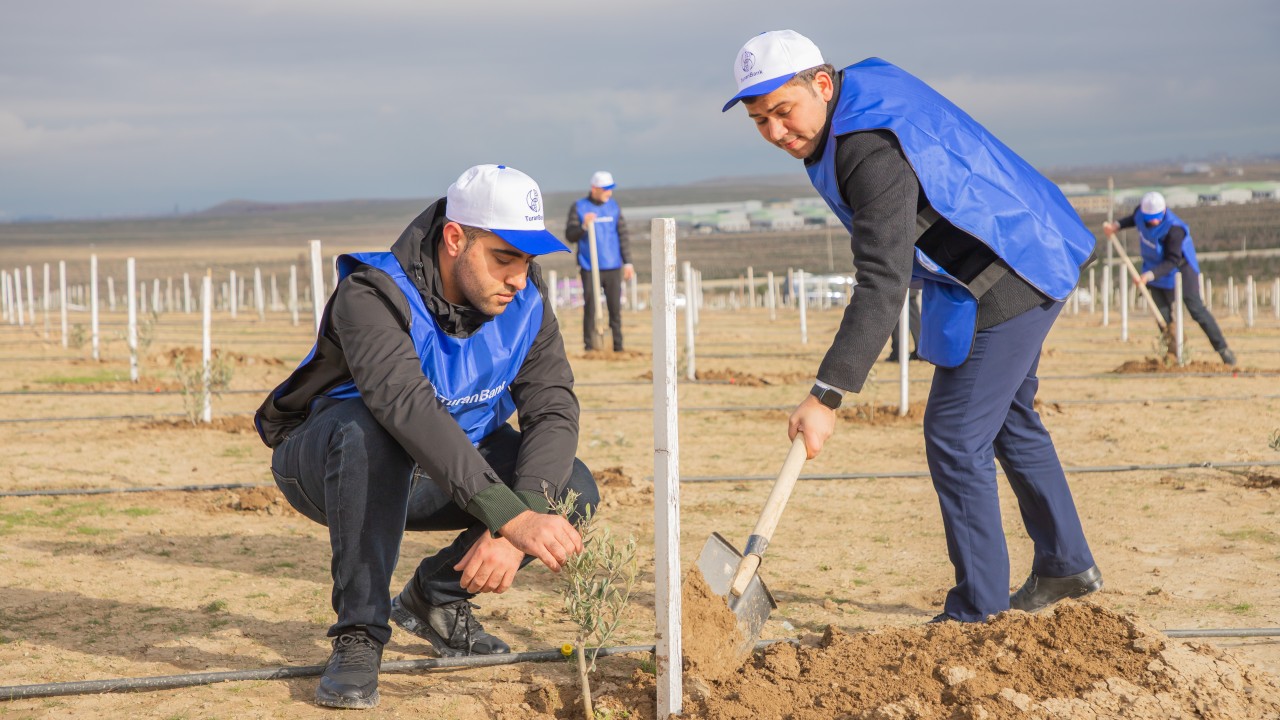 "TuranBank" ağacəkmə aksiyası təşkil edib - FOTOLAR