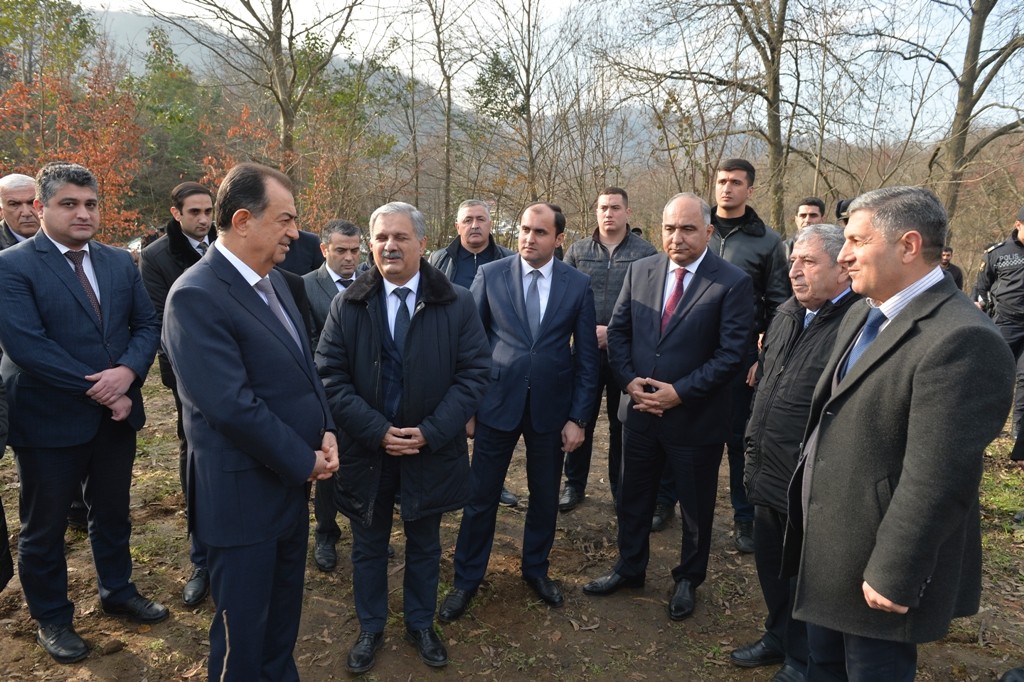 Lənkəranda “Yaşıl dünya naminə həmrəylik ili” çərçivəsində 3300 dəmirağacı əkildi - FOTOLAR