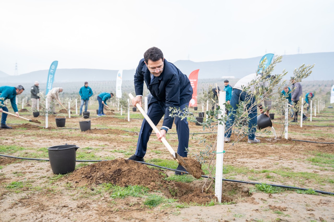 ETSN və Azərbaycanın COP komandası ağacəkmə aksiyası keçirdi - FOTOLAR