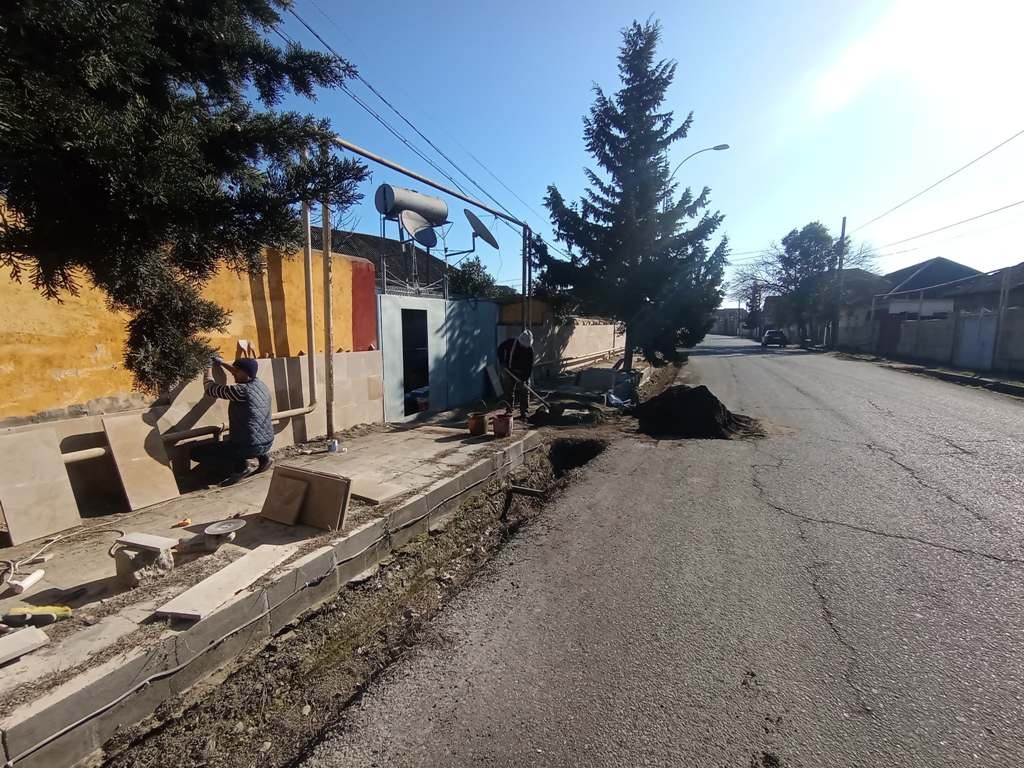 Taleh Qaraşov Lənkəranda aparılan abadlıq işləri ilə tanış olub - FOTOLAR