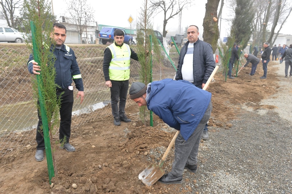 Taleh Qaraşov şəhid məzarlarını ziyarət edib - FOTOLAR