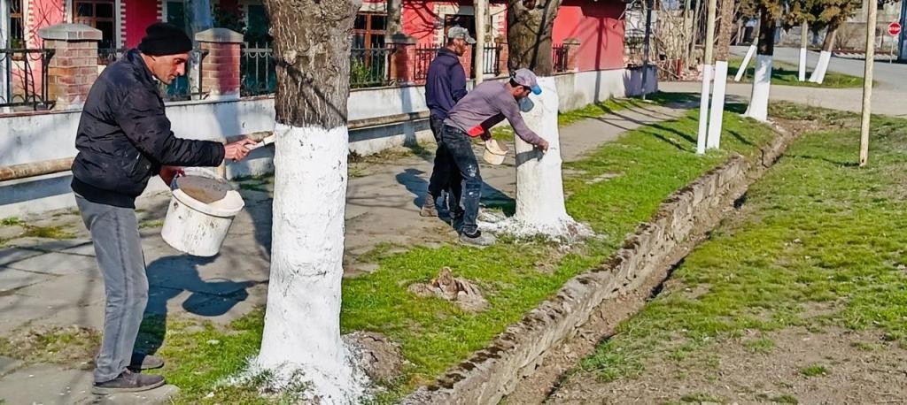 Lənkəranda Novruz iməcliyi keçirilib - FOTOLAR