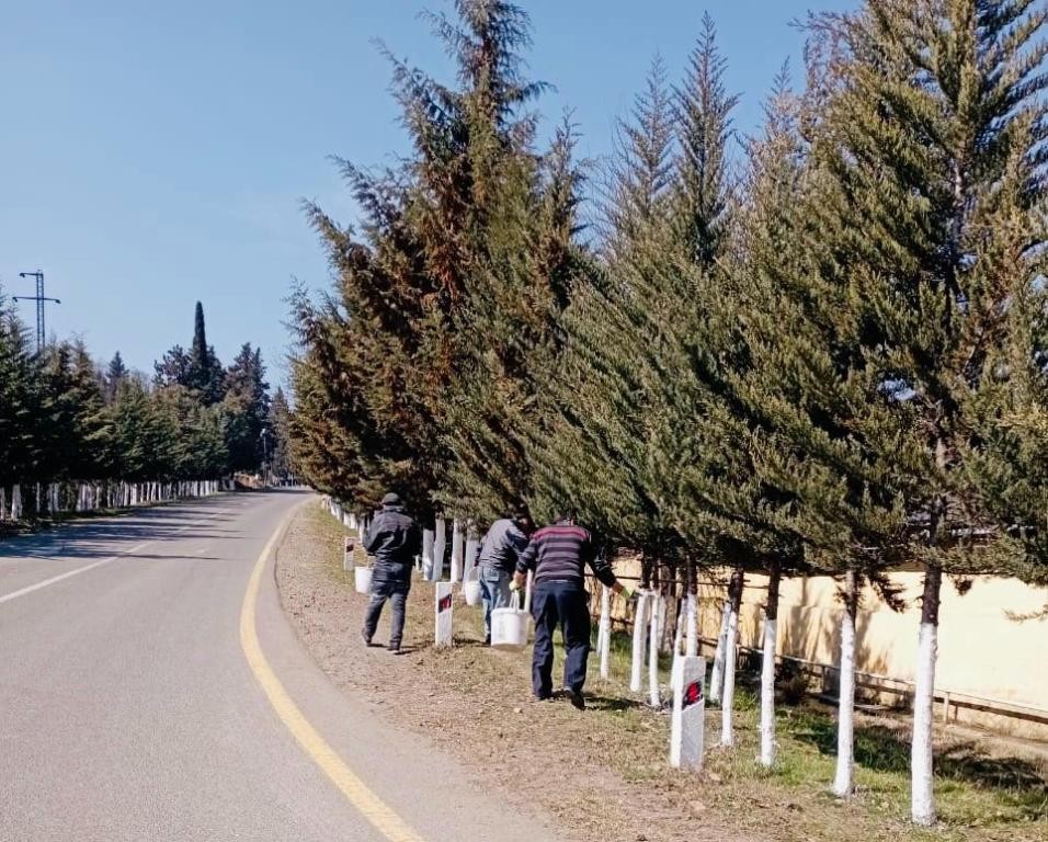 Lənkəranda Novruz iməcliyi keçirilib - FOTOLAR