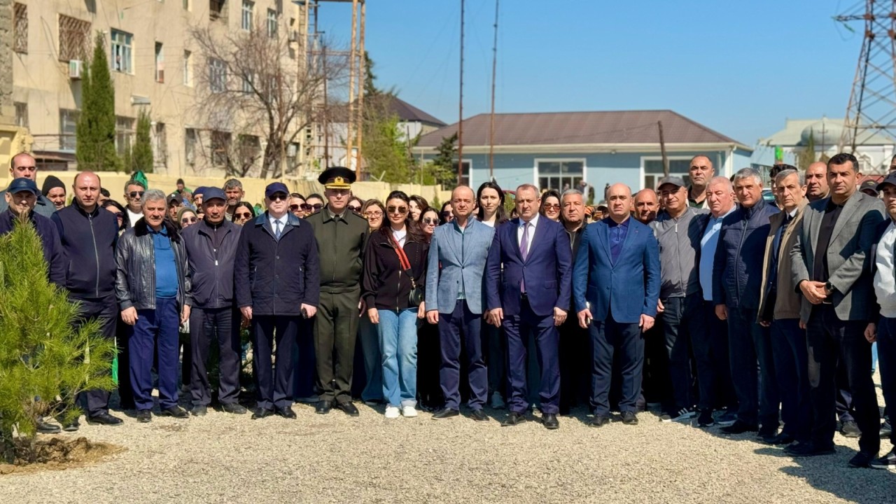 Suraxanıda ağacəkmə aksiyası keçirildi - FOTOLAR Suraxanıda ağacəkmə aksiyası keçirildi - FOTOLAR