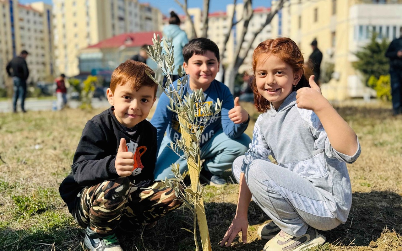 Dövlət Komitəsi ağacəkmə aksiyası təşkil edib -FOTOLAR Dövlət Komitəsi ağacəkmə aksiyası təşkil edib -FOTOLAR