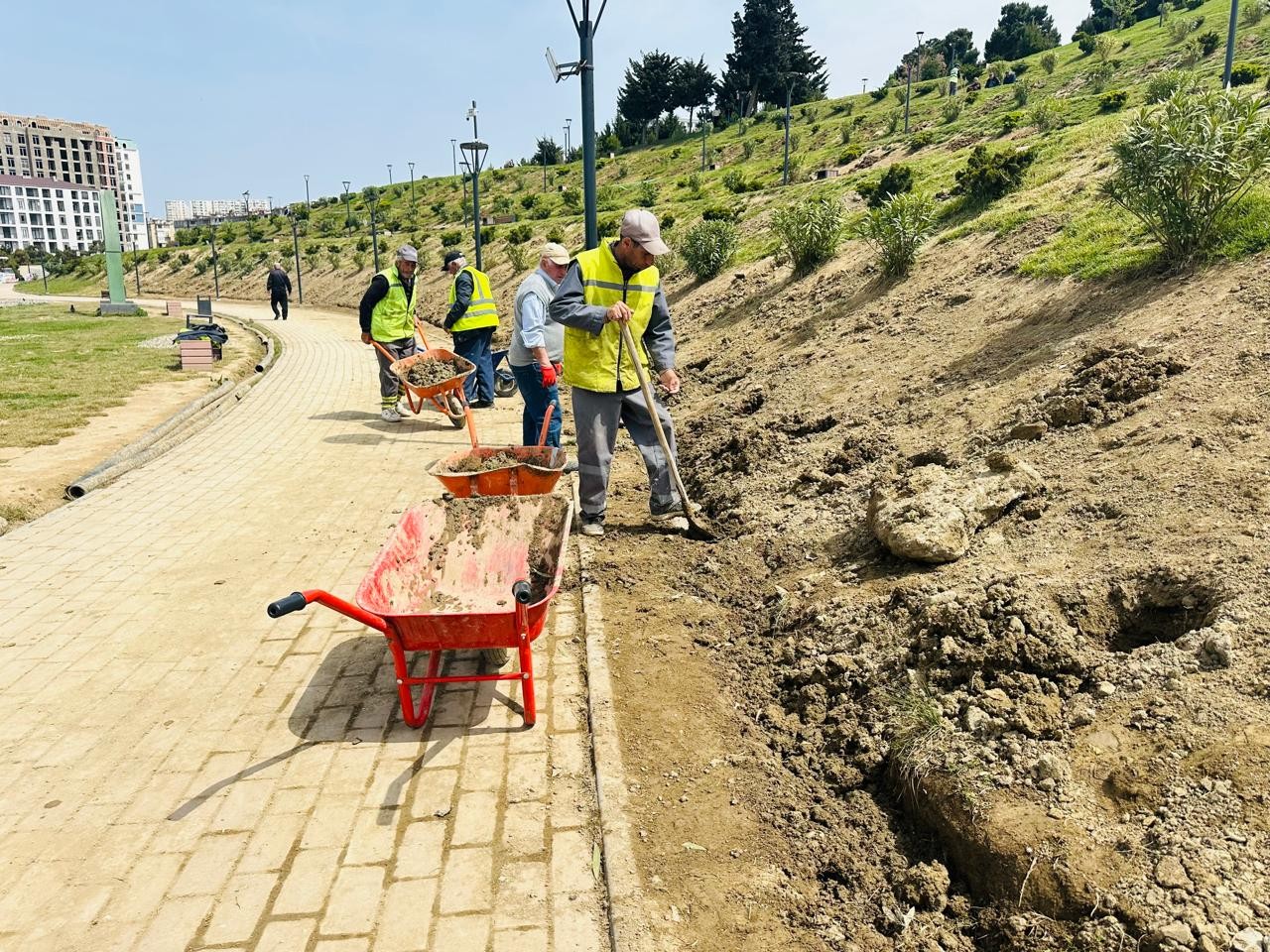 Xətai rayonunda iməclik aksiyası keçirildi - FOTOLAR
