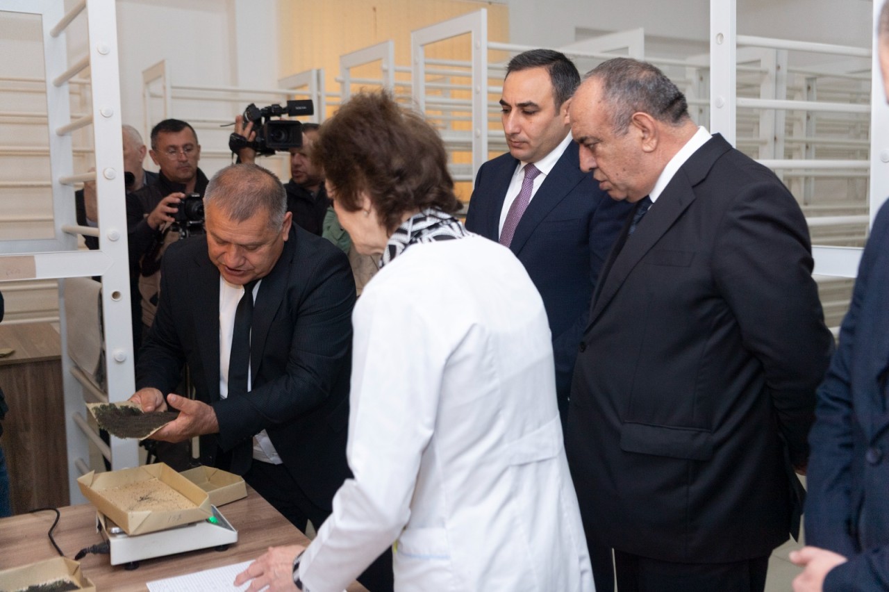 Azərbaycanda barama istehsalı mövsümünə start verildi - FOTOLAR
