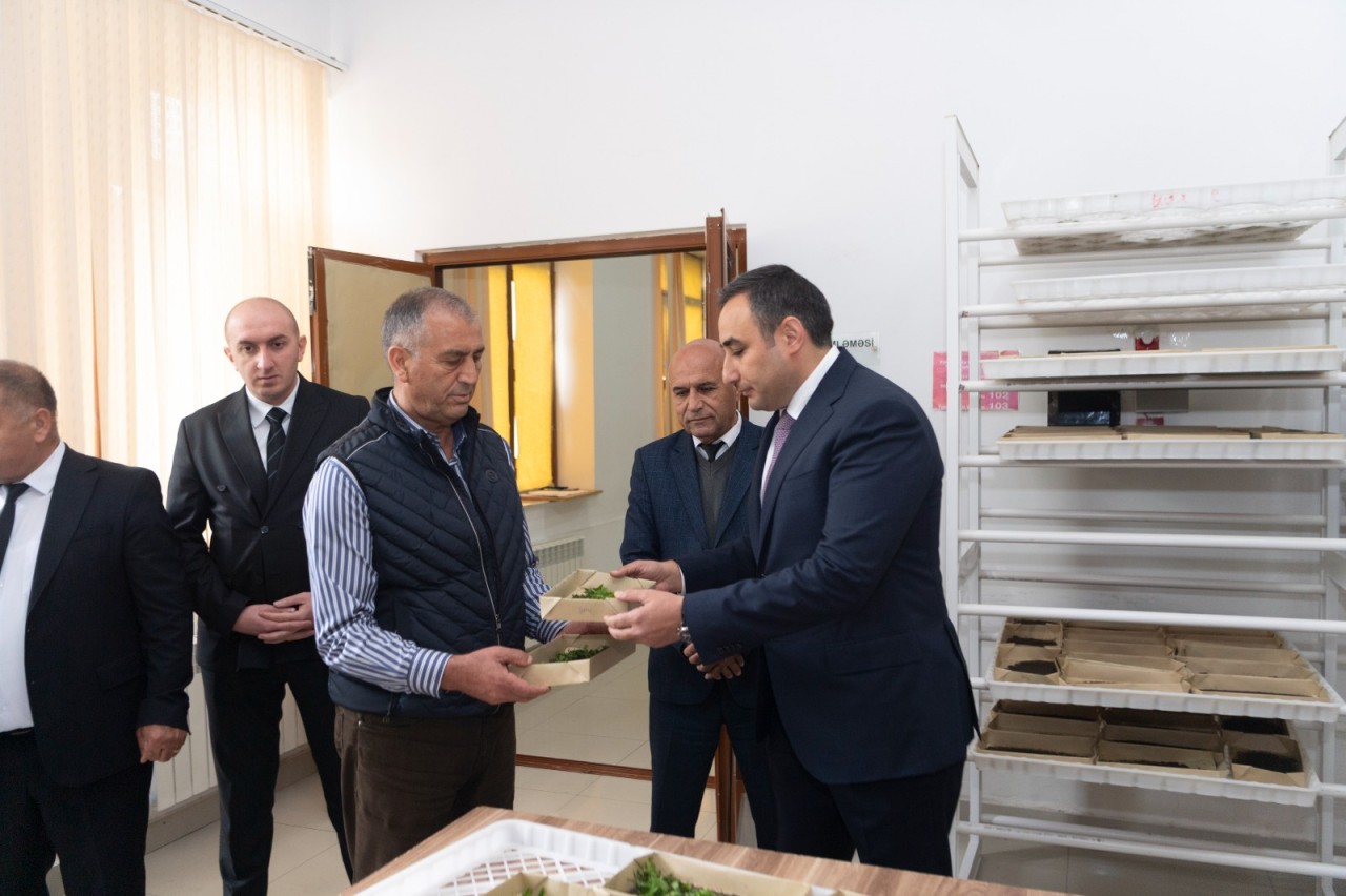Azərbaycanda barama istehsalı mövsümünə start verildi - FOTOLAR