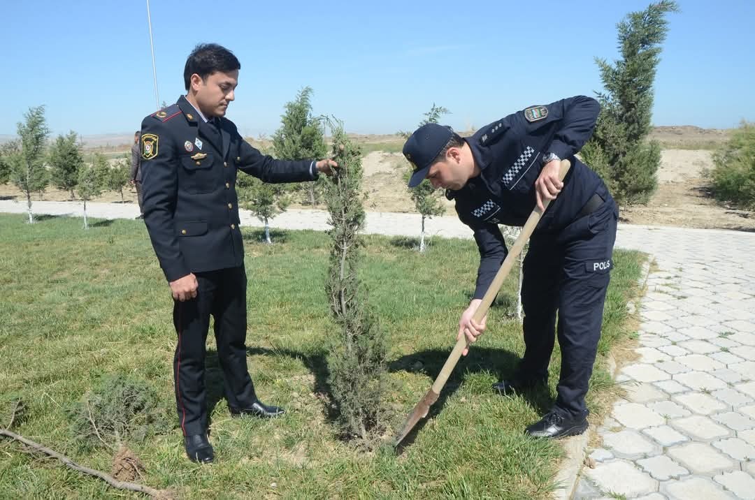 Ulu Öndərin 102-ci ildönümünə həsr olunmuş ağacəkmə aksiyası keçirilib - FOTOLAR