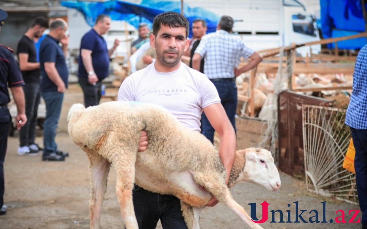 Qurban bayramı ilə bağlı heyvan kəsimi məntəqələrinəxəbərdarlıq Qurban bayramı ilə bağlı heyvan kəsimi məntəqələrinəxəbərdarlıq
