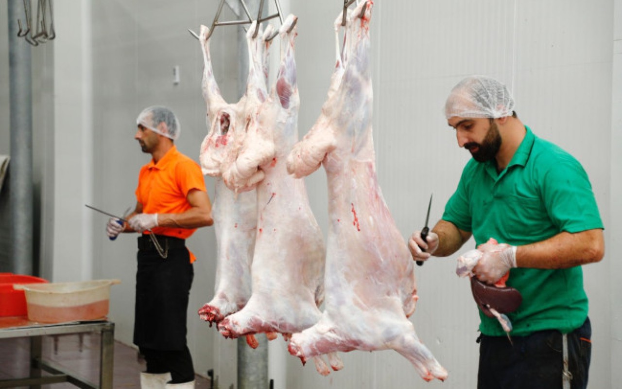 Qurbanlıq heyvanlar bu ünvanlardakəsiləcək Qurbanlıq heyvanlar bu ünvanlardakəsiləcək